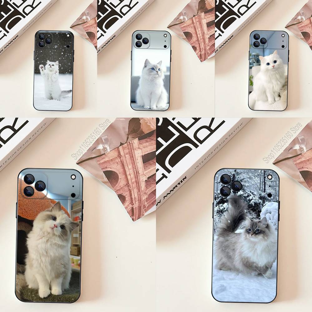 Lovely Ragdoll Cat Funny Phone - مراجعة Phone Cases Quirky وسعره